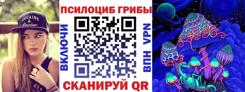 kraken как зайти  наркотики  Бабаево  Псилоцибиновые грибы мухоморы 